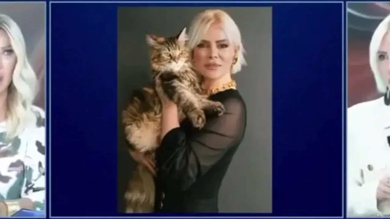 Seda Sayan Ömür Gedik’i Fena İğneledi! Cevap Gecikmedi