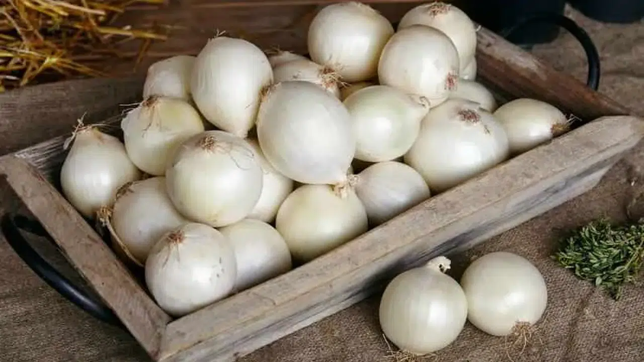 RÜYADA BEYAZ KURU SOĞAN GÖRMEK (DİYANET)! Hangi Anlama Gelir, Soğan Doğramak Neyi İşaret Eder?