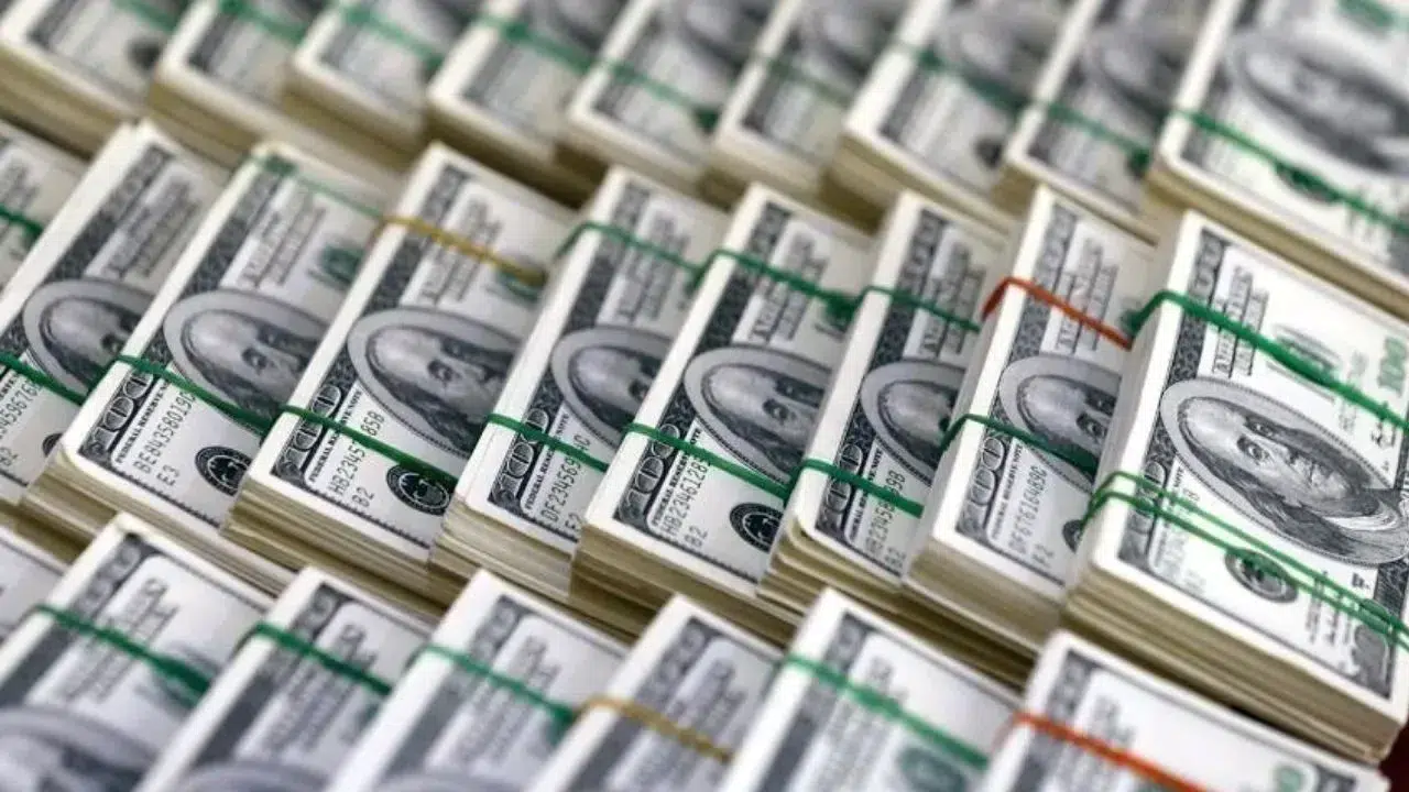 Merkez Bankası Raporu! Yatırım Pozisyonunda Son Durum Açıklandı