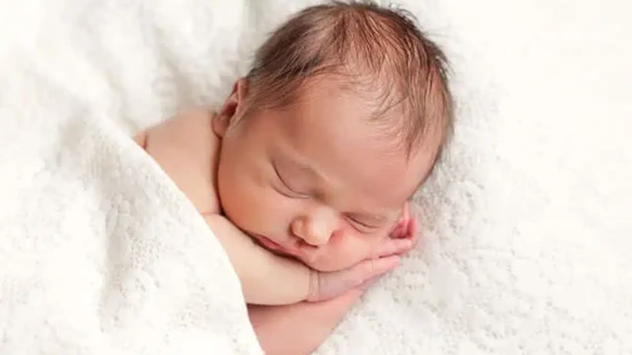 BERFO İSMİ NE DEMEK? Kürtçe anlamı nedir, Berfo Türkçe midir, okunuşu nasıl, kız mı erkek mi?