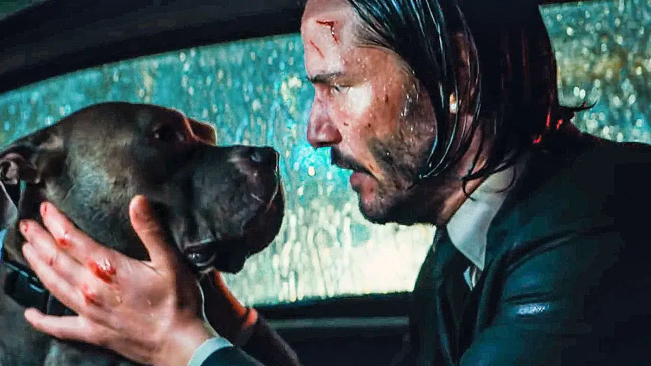 JOHN WİCK 1 KÖPEĞİ NEDEN ÖLDÜRÜLDÜ! Köpek sahnesi neden tartışma yarattı?