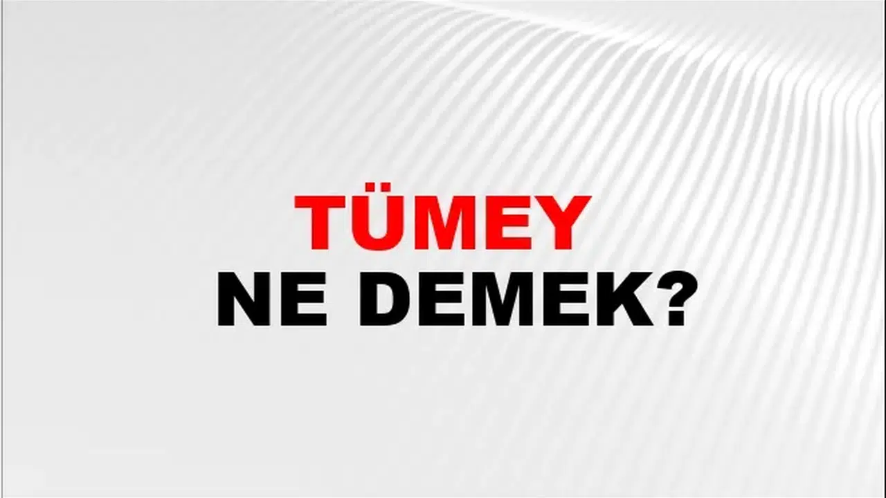 Tümey Ne Demek! TDK sözlük anlamına göre tümey kelimesi nedir?