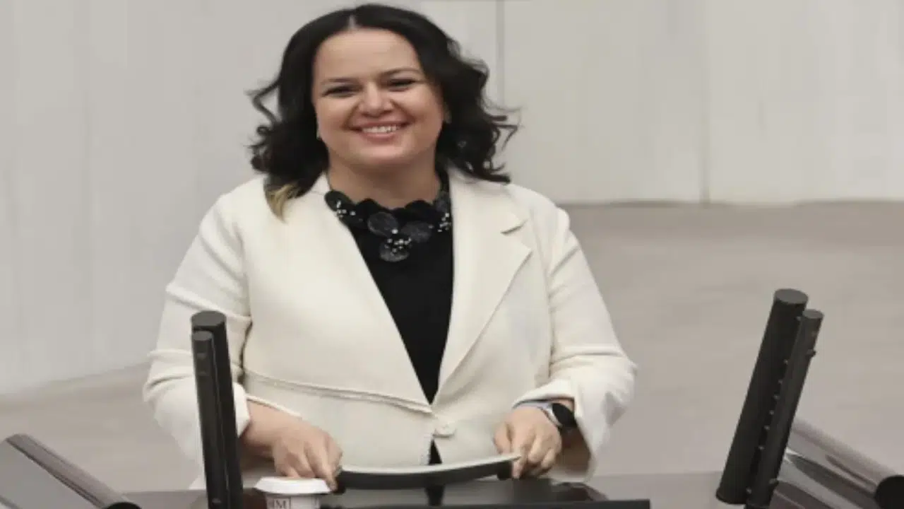 NİLGÜN ÖK BİYOGRAFİSİ! Hangi partiden milletvekili, kaç yaşında, aslen nereli?