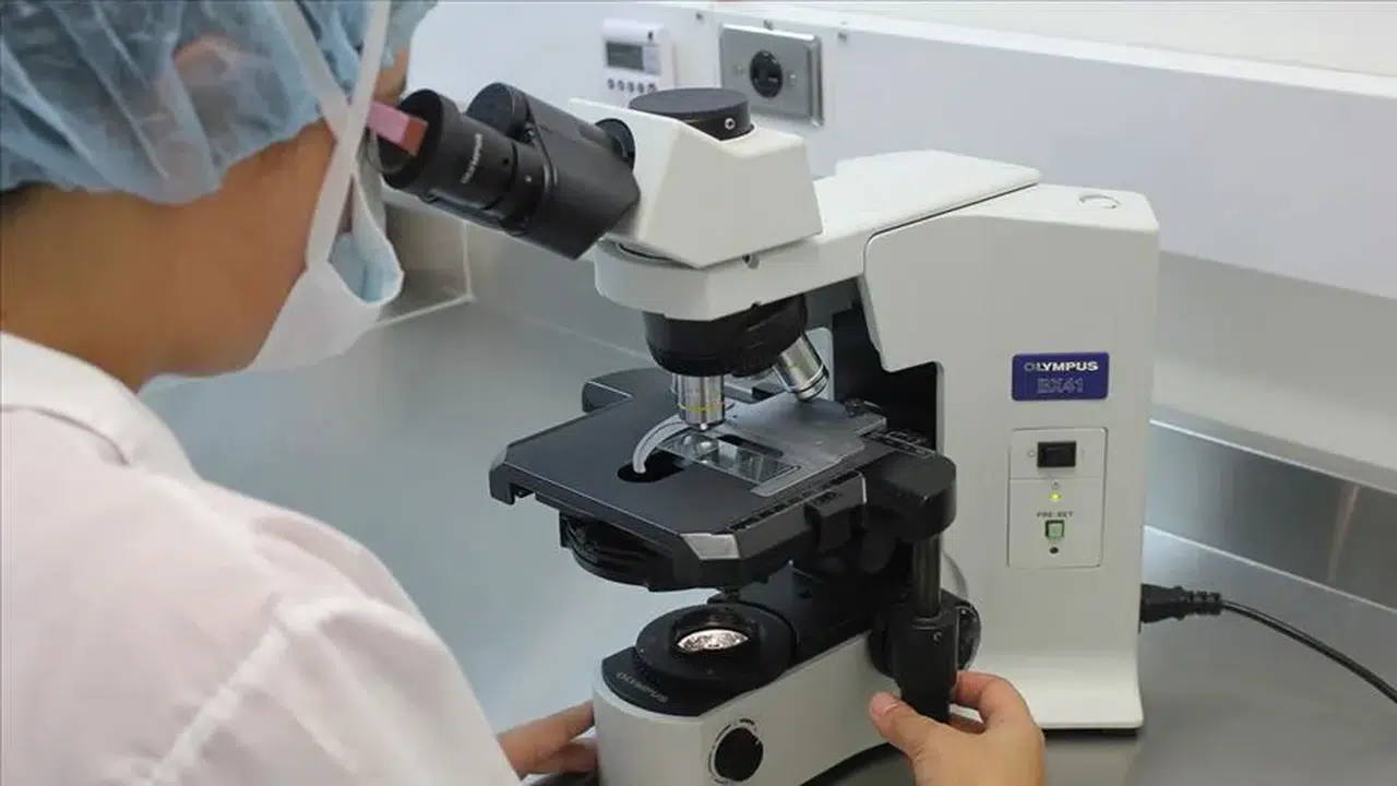 SUTTA OLMAYAN LABORATUVAR HİZMETİ KAÇ OLMALI? SUT Kapsamı Dışındaki Laboratuvar Hizmeti Nedir?