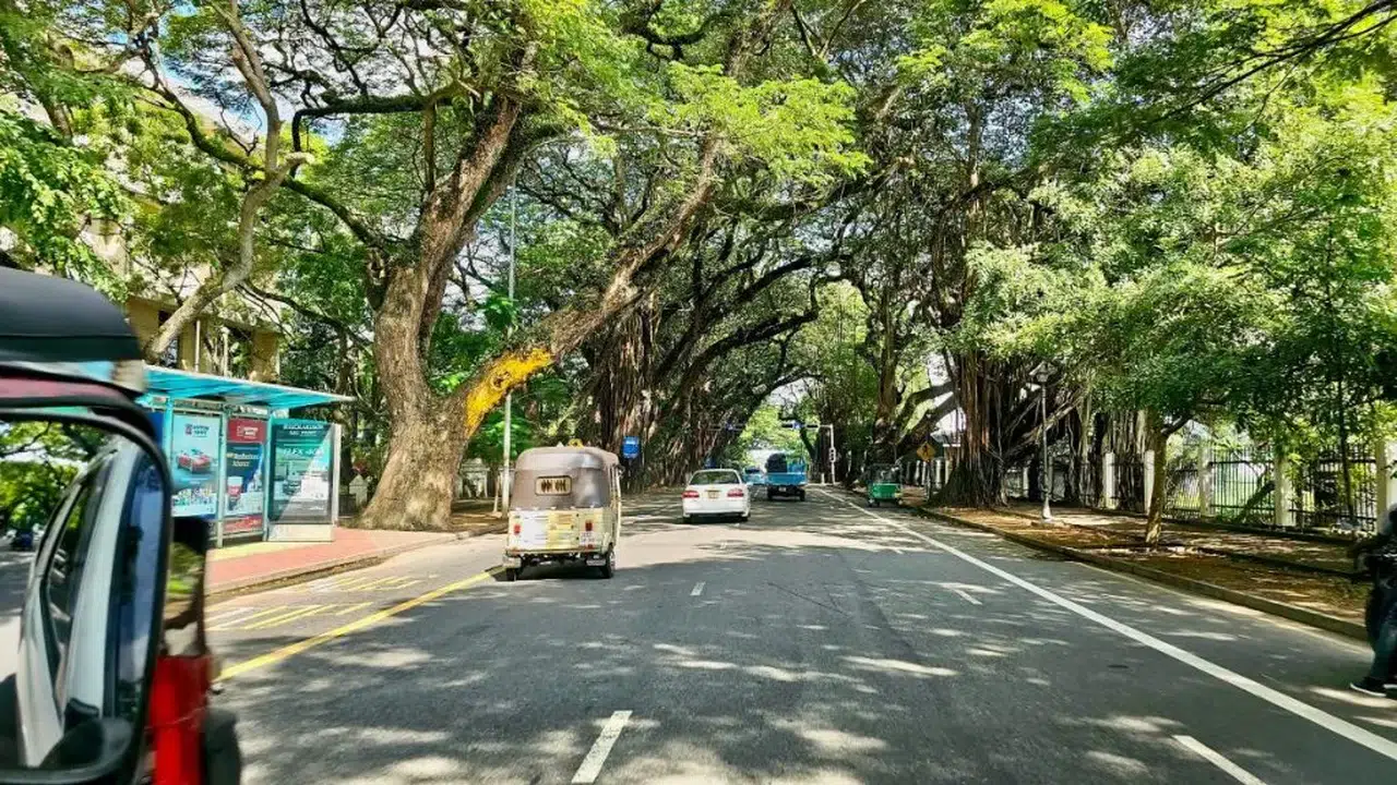 SRİ LANKA NEREDE! Başkenti Colombo mu, hangi kıtada yer alır, kara komşusu var mı, Hindistan’a yakın mı?