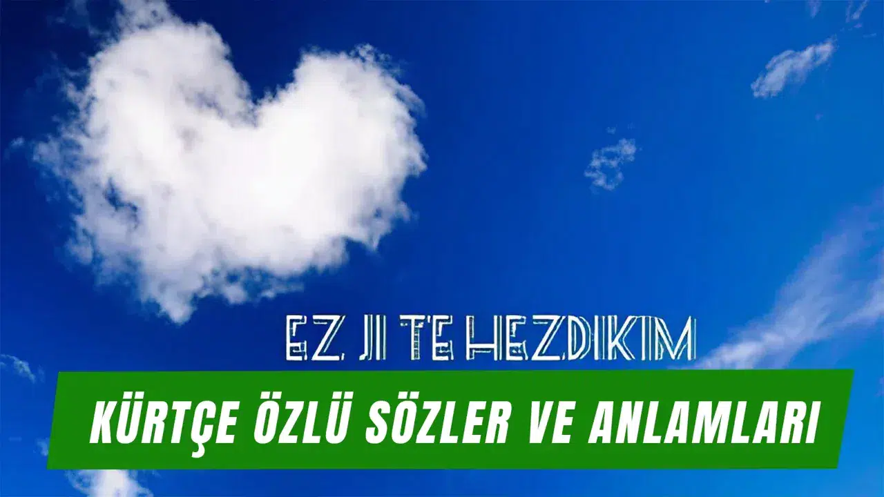 KÜRTÇE ANLAMLI SÖZLER! Kürtçe aşk sözleri ve atasözleri ne demek? En anlamlı Kürtçe sözler ve Türkçe anlamları