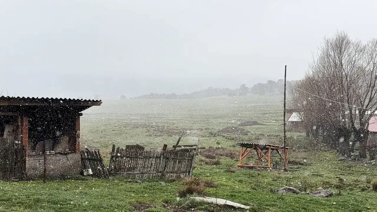 Bolu Sarıalan yaylasında kar yağışı başladı