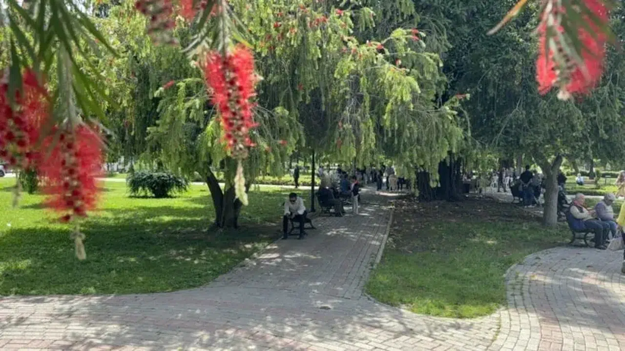 Adana’da termometreler isyanda: 41 dereceyi gören parklara koştu!