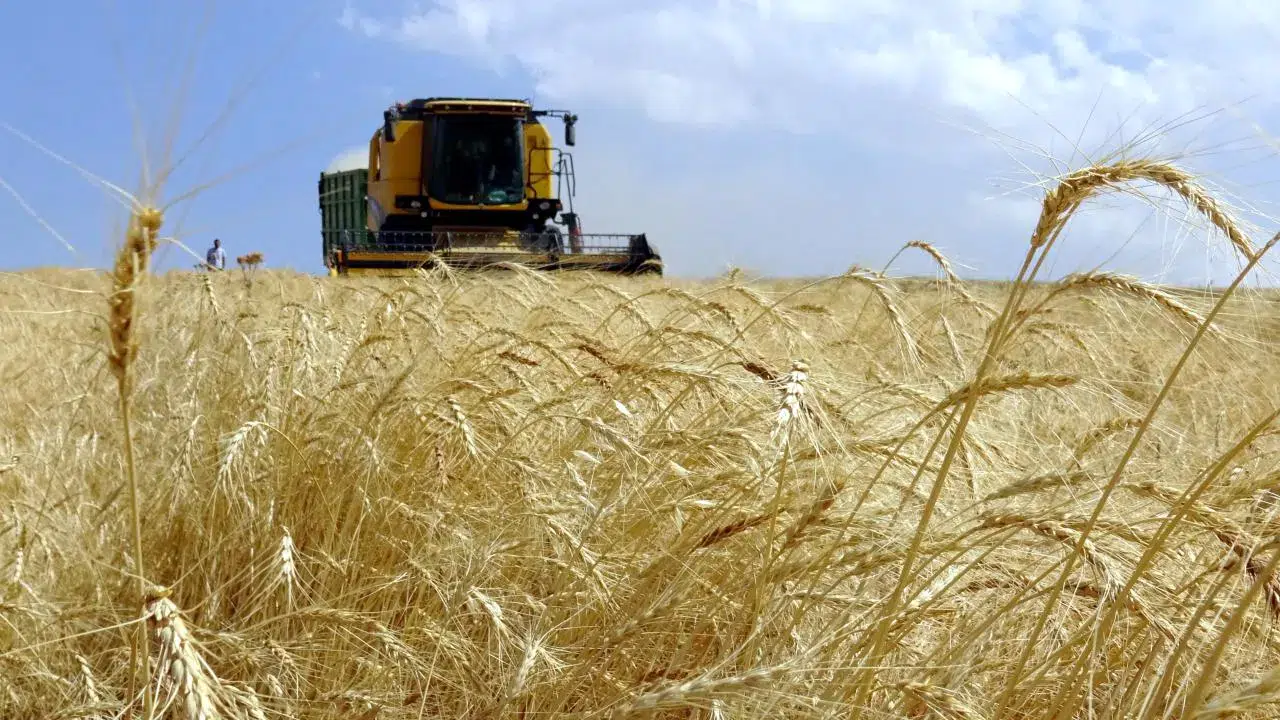 Gençlere zirai girişimcilik müjdesi: 10 üniversiteye 'teknoloji çiftliği' kuruluyor!