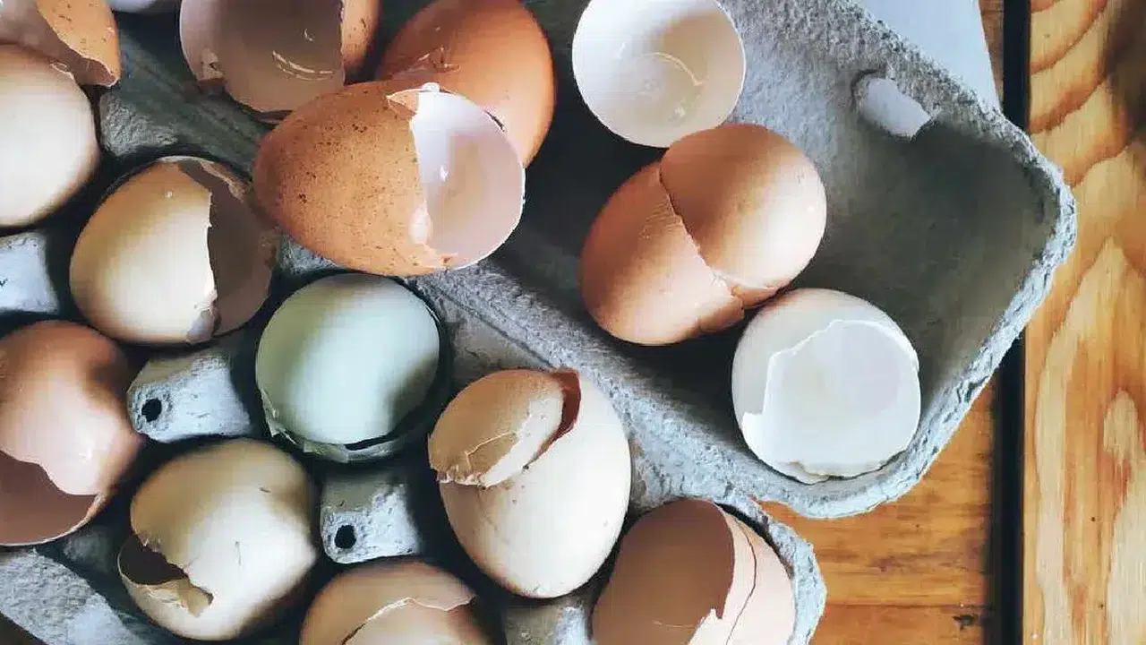 Sadakatin bedeli bu mu? İngiltere bu kasiyerin dramını konuşuyor!