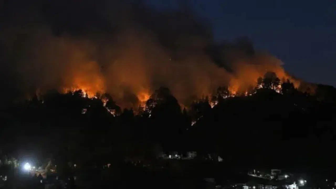Binlerce Japon kaçıyor! 1000 hektar kül oldu, tahliye emirleri peş peşe geldi