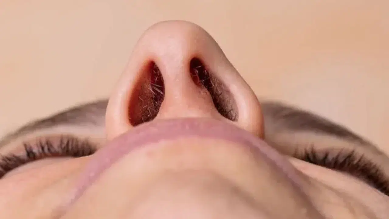 Görünmez tehlike kapıda! Burun kıllarımız bugün ve yarın 'filtre' görevi görecek