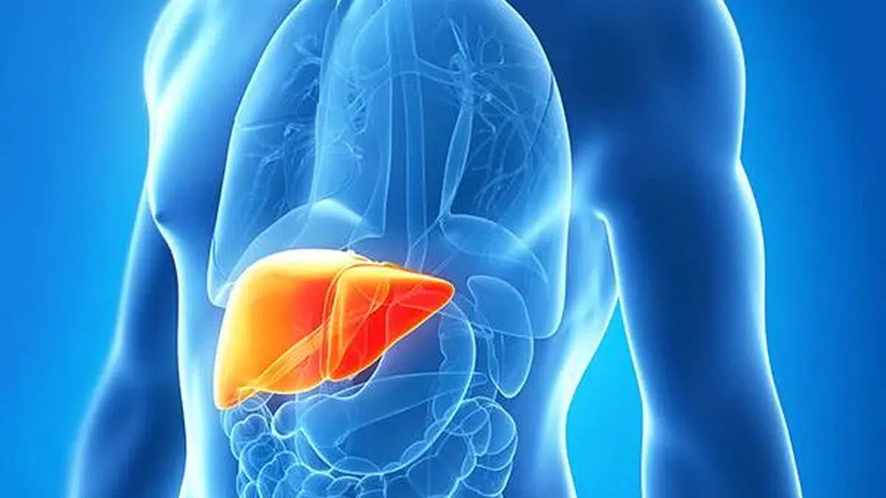 Karaciğer neden yağlanır, nasıl geçer, sıvı şeker karaciğeri nasıl etkiler, riski arttıran içecekler neler?