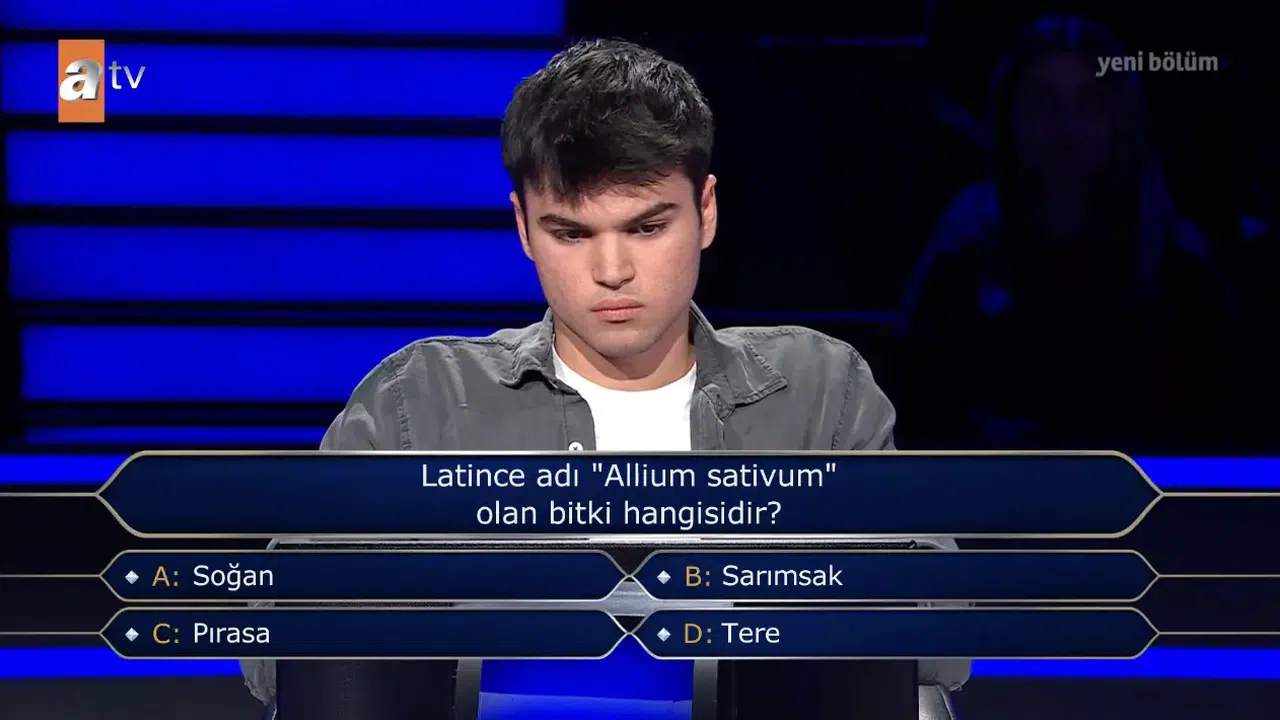 Latince adı 'Allium sativum' olan bitki hangisidir? Kim Milyoner Olmak ister sorusu!