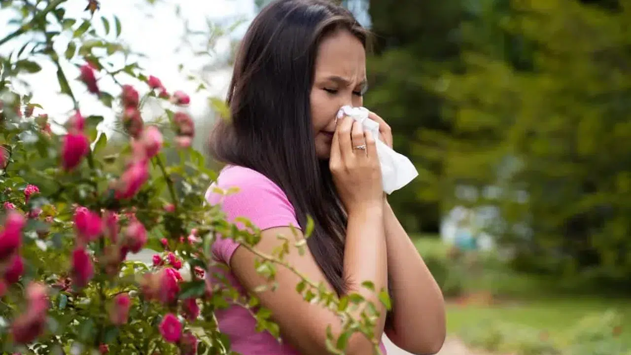 Bahar alerjisi belirtileri nelerdir, polen alerjisine ne iyi gelir, rinit tedavisi nasıl yapılır, korunmak için ne yapılmalı?