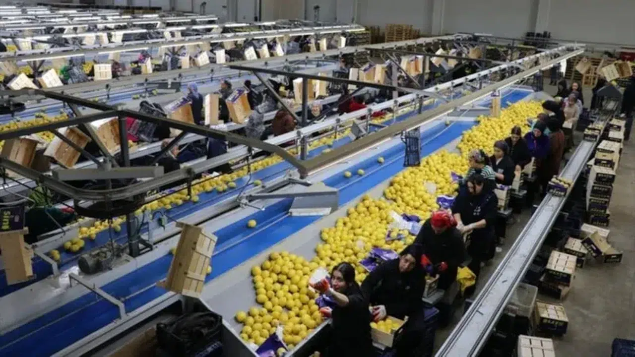 Rusya tahtından oldu... Yaş meyve sebzede 2026’nın yeni şampiyonu belli oldu!