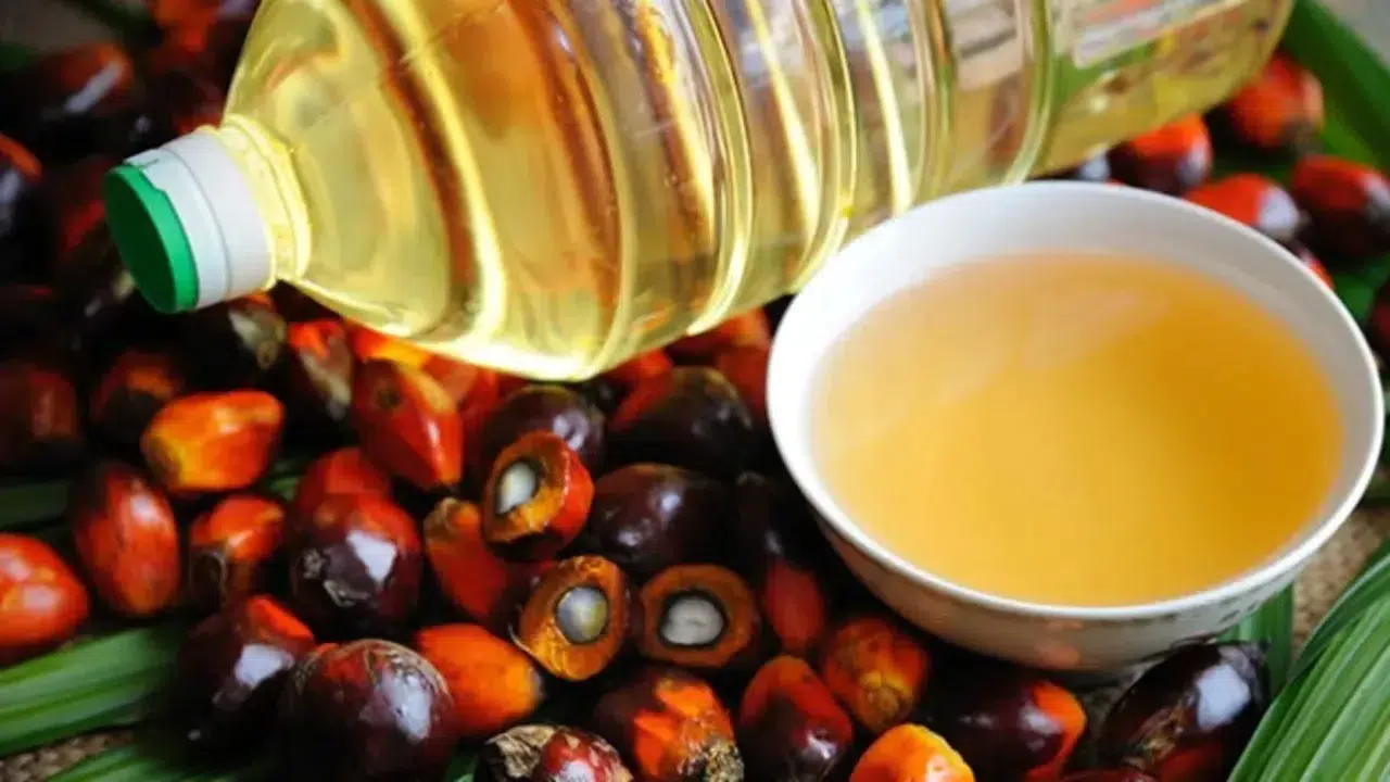 Palm yağı ve soya yapı fiyat farkı neden arttı, ne kadar oldu, palm yağı ve soya yağı kaç dolar oldu?