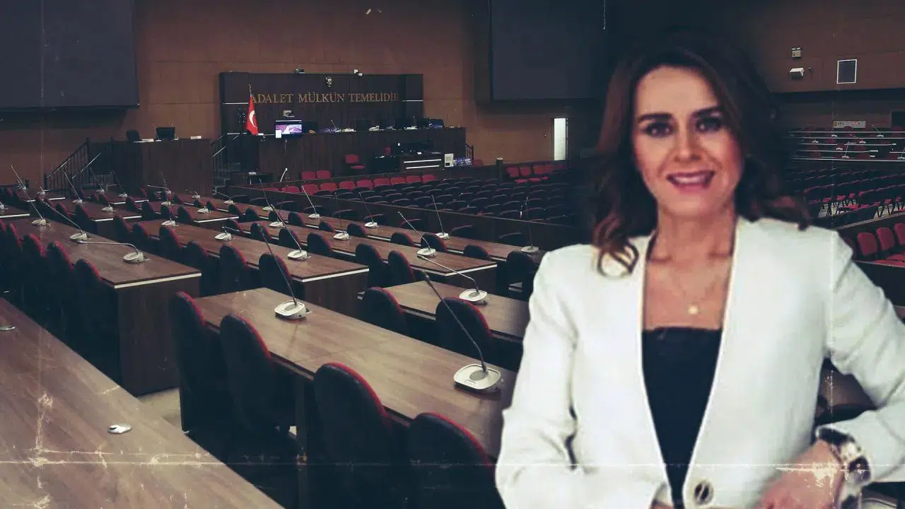 İstinaf mahkemesi Seçil Erzan’a verilen cezayı bozdu