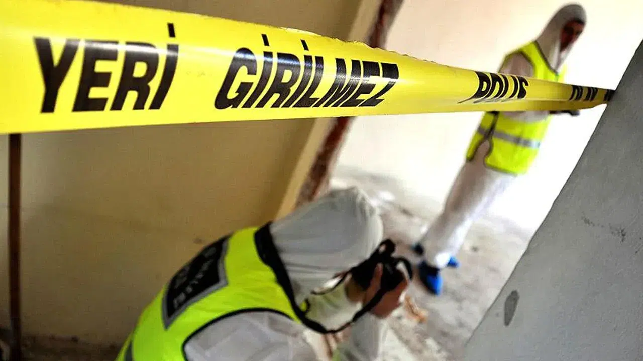 Odun toplamak için çıkmıştı, bir daha dönemedi! Ayvacık'ta kahreden ölüm