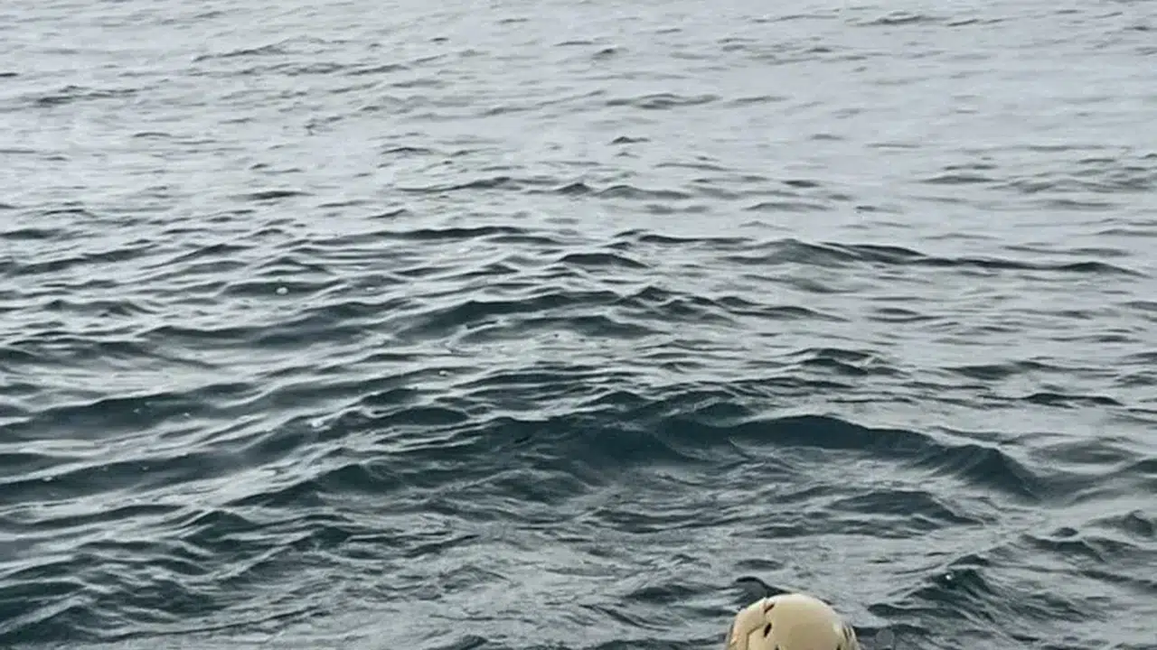 Karadeniz’de sürüklenen tehlike: MSB açıkladı, faciadan dönüldü!