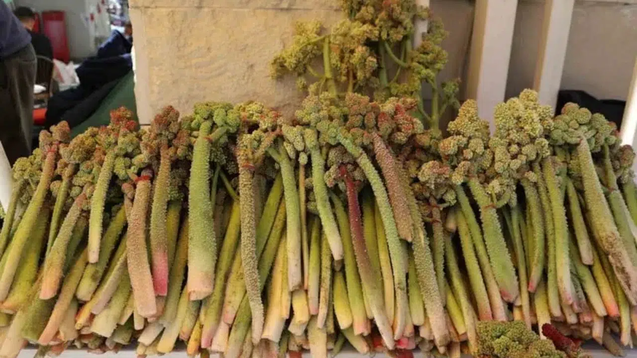 Doğu’nun muzuna büyük ilgi: Kilosu önce dudak uçuklatıyor, sonra şifa dağıtıyor!