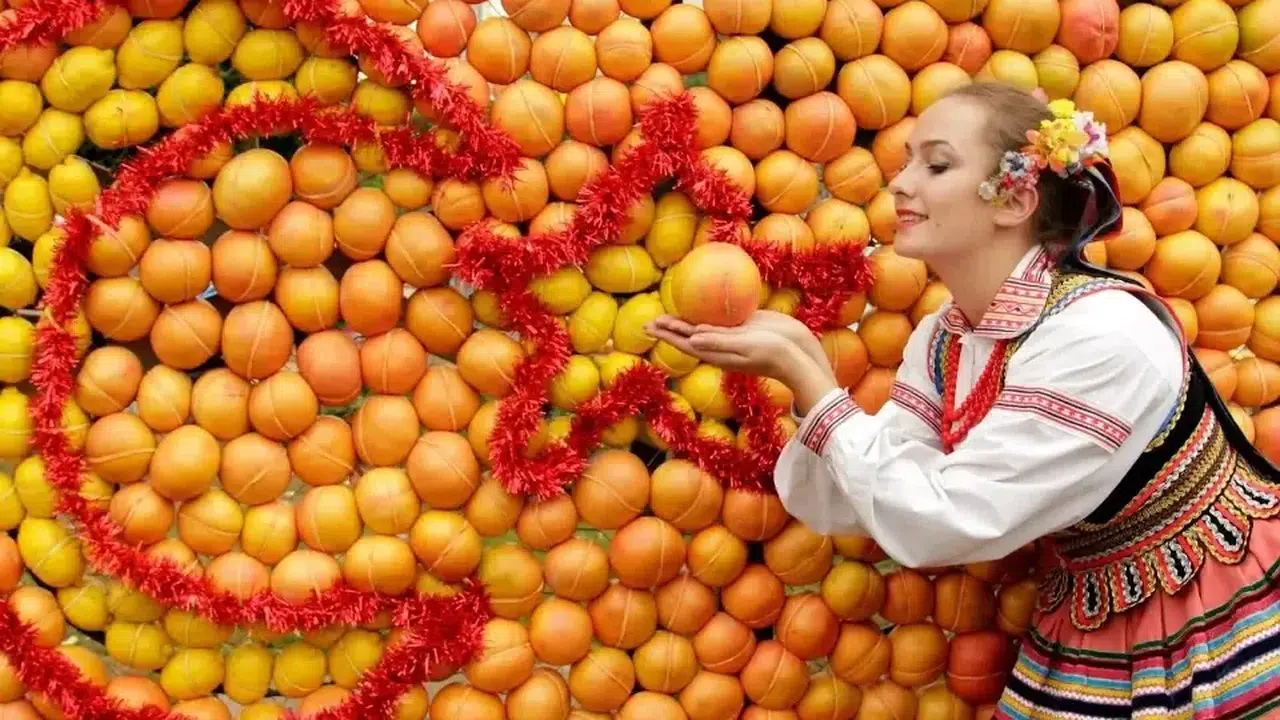 PORTAKAL ÇİÇEĞİ FESTİVALİ ADANA’DA MI YAPILIYOR? Ne zaman başlayacak, hangi sanatçılar sahne alacak?