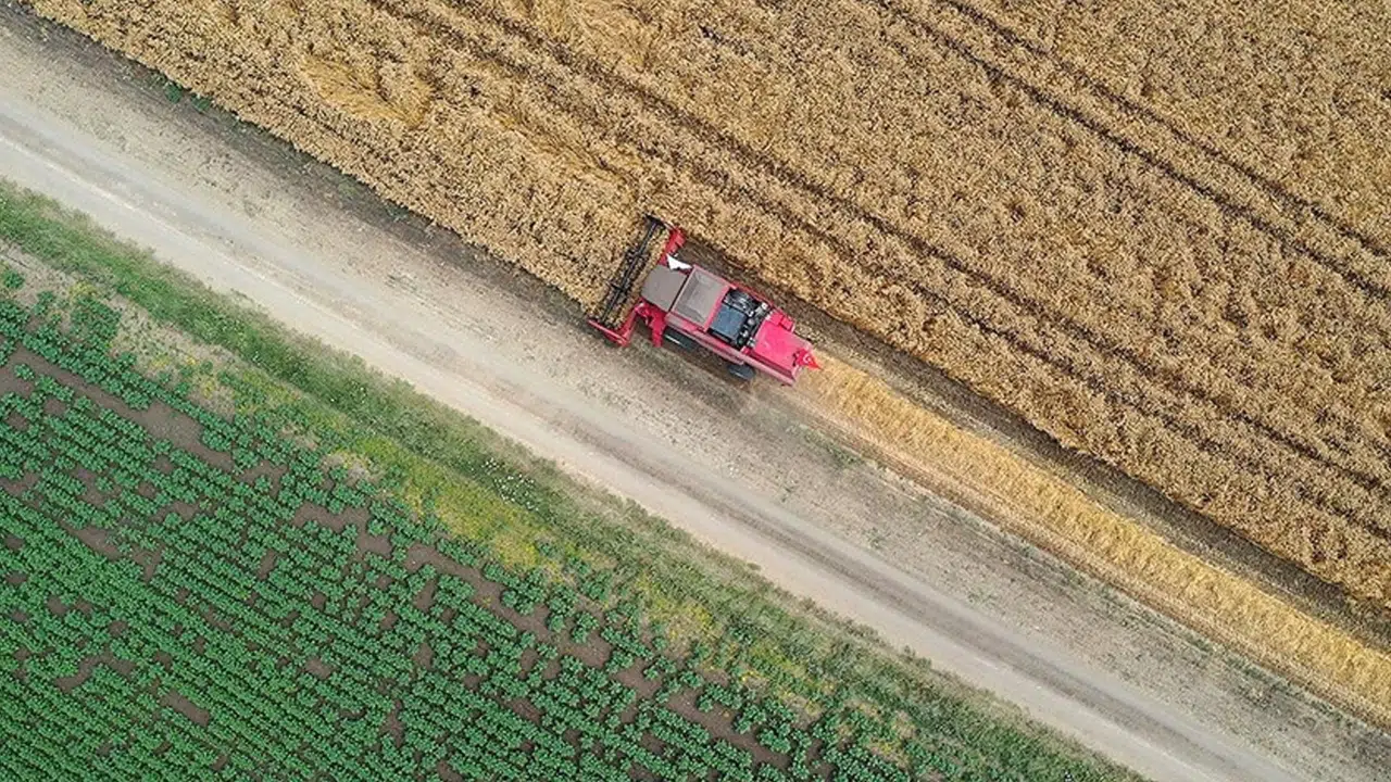 Tarım arazilerinde kaçak yapılar ne zaman yıkılaca…