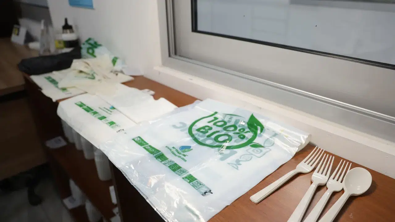 Sanayide nişasta dönemi: Türk şirketinden doğaya karışan mucize çözüm!