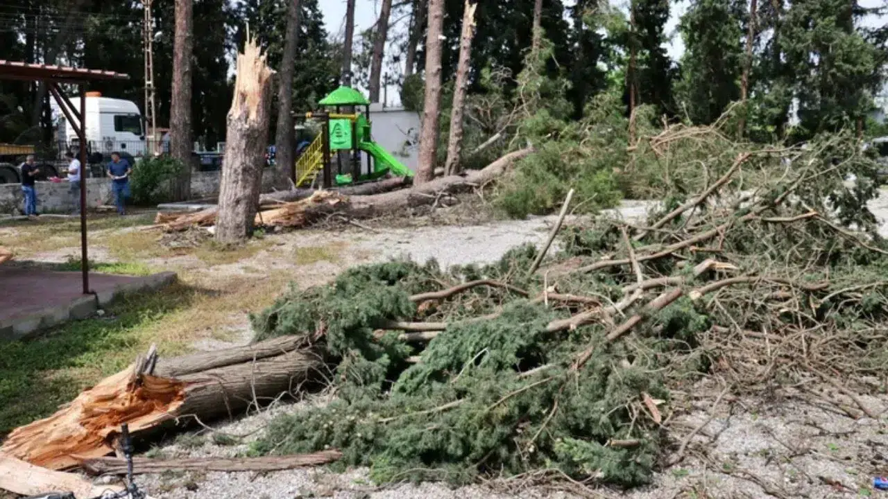 Karabük’te üzerine ağaç devrilen orman işçisi Muharrem Ustaoğlu hayatını kaybetti!