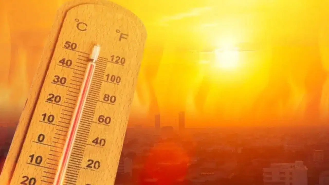 Korkutan iklim raporu: Avrupa 2,5 derece daha sıcak! Artık geri dönüş yok mu?