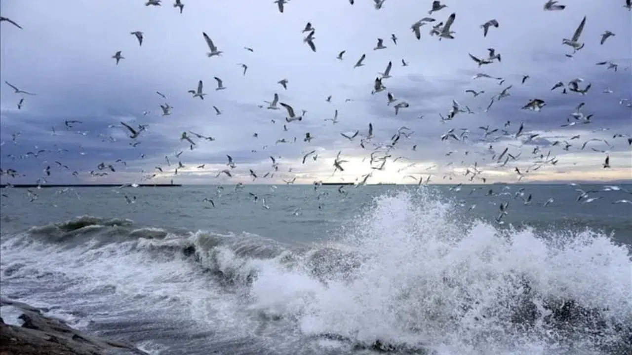 Lodos ve Sağanak Aynı Anda Vuracak: Ankara ve İzmir Dahil Tam 24 Şehir Risk Altında!