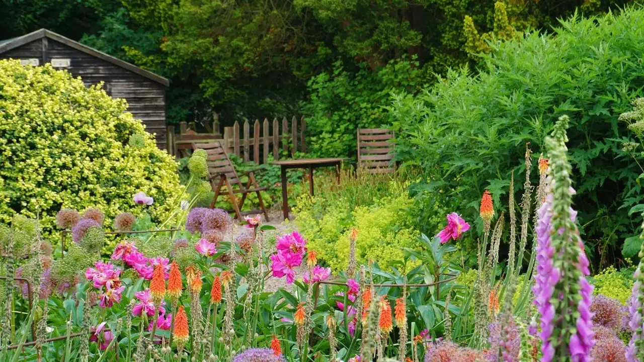 Hobi bahçeleri son dakika kararı ne? Kaçak yapılar yıkılacak mı, yeni şartlar ne, kimler etkilenecek?