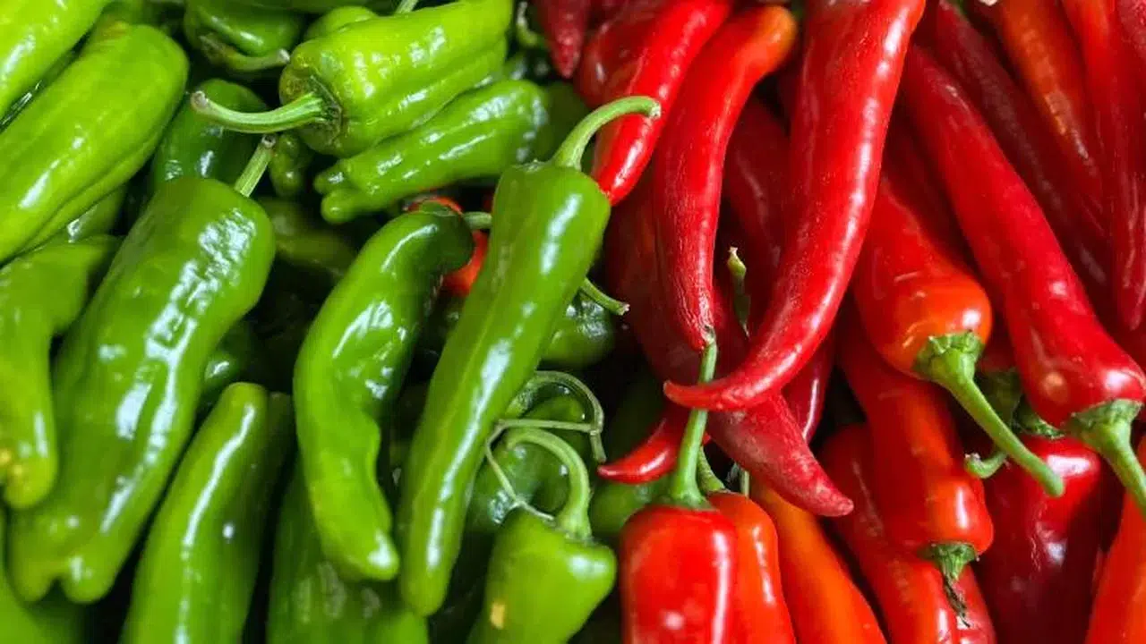 Türkiye biber ihracatının %74'ü tek bir bölgeden: Batı Akdeniz dünyayı doyuruyor!