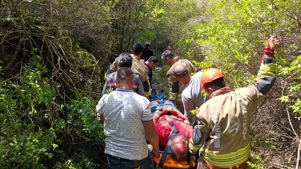 Ormanda korkunç kaza! Dengesini kaybedince uçuruma yuvarlandı