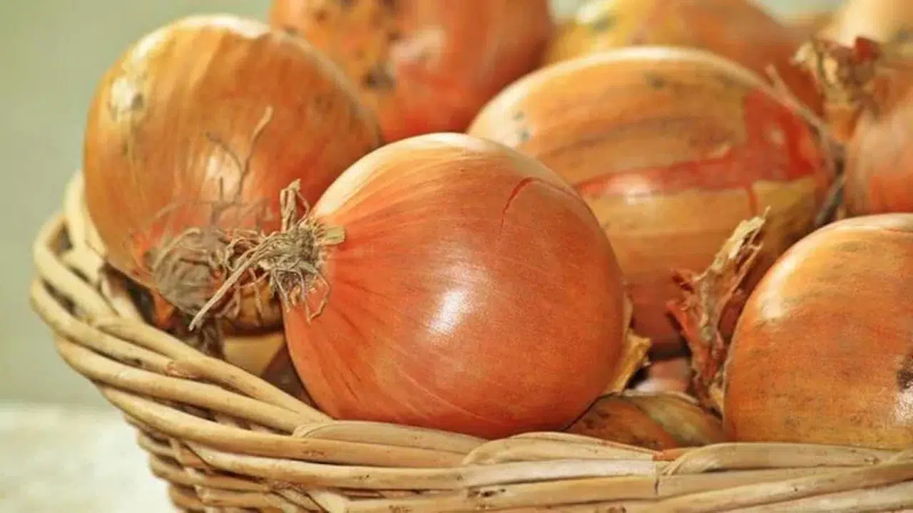 Yıl sonu hedefi 100 milyon dolar: Kuru Soğan dış ticaretin yeni yıldızı oldu!