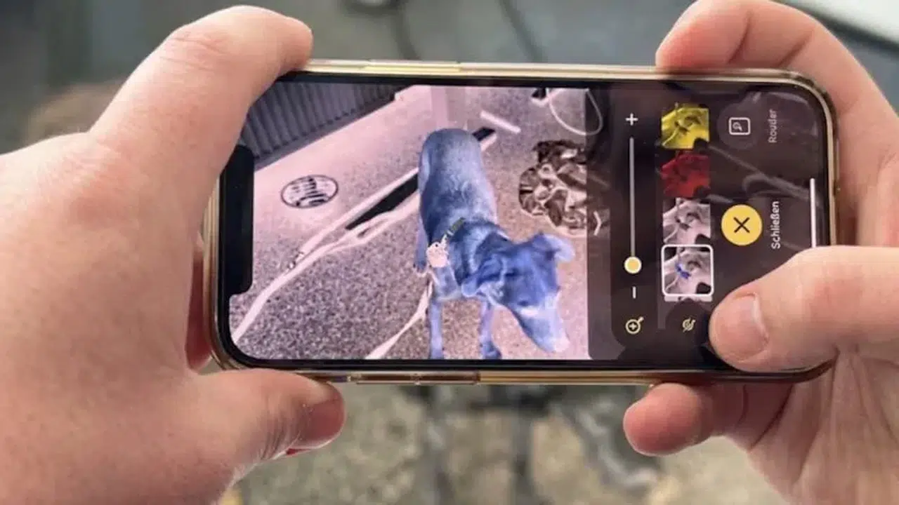 Doğa yürüyüşçüleri dikkat: Cebinizdeki ‘kene dedektörü’ ile sinsi tehlikeye son!