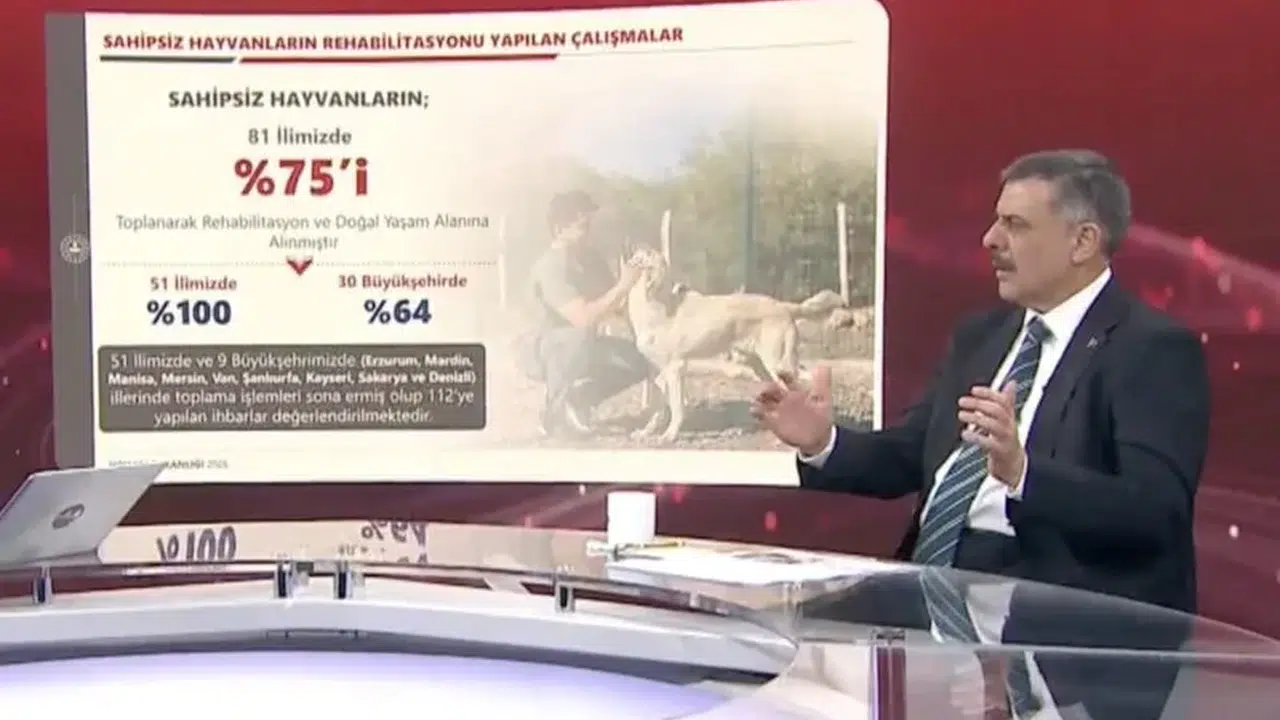 Bakan Çiftçi’den Sahipsiz Hayvan Bilançosu: Sokakların Yüzde 75’i Temizlendi!
