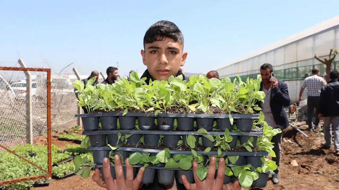 Şanlıurfa’da üreticiye dev destek: 1 milyon sebze fidesi ücretsiz dağıtıldı!