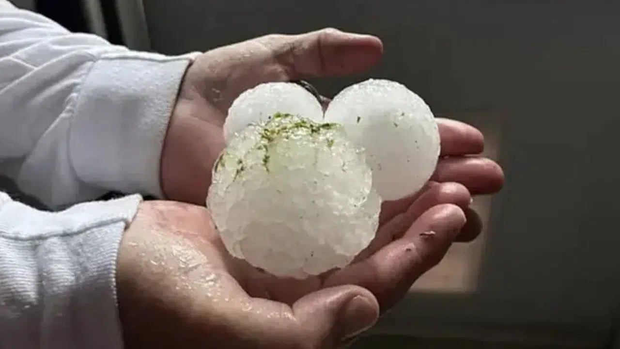 Gökten taş değil tenis topu yağdı! ABD'de binlerce araç hurdaya ayrılıyor