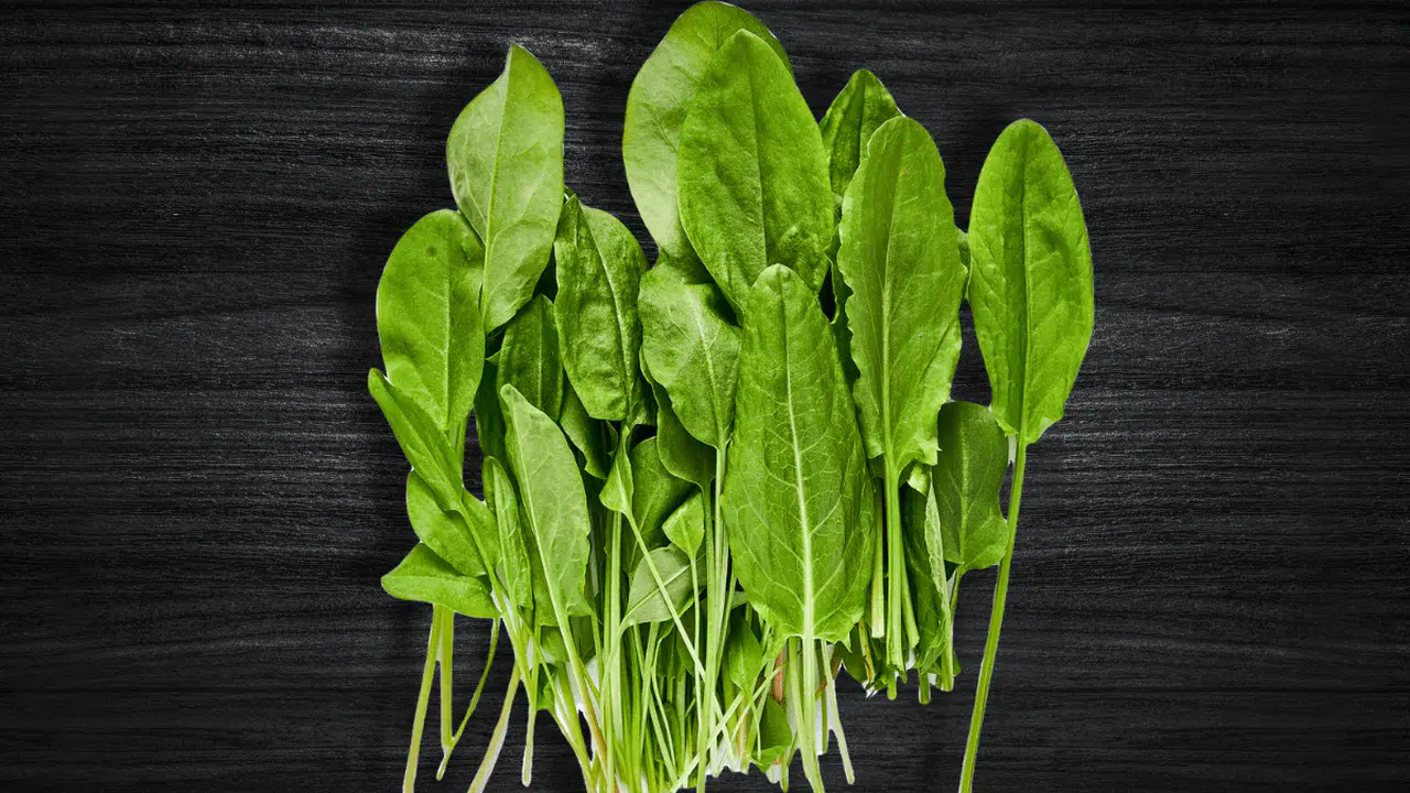 İki kuzu kulağı olayı nedir, akım nereden çıktı, ne anlama geliyor?