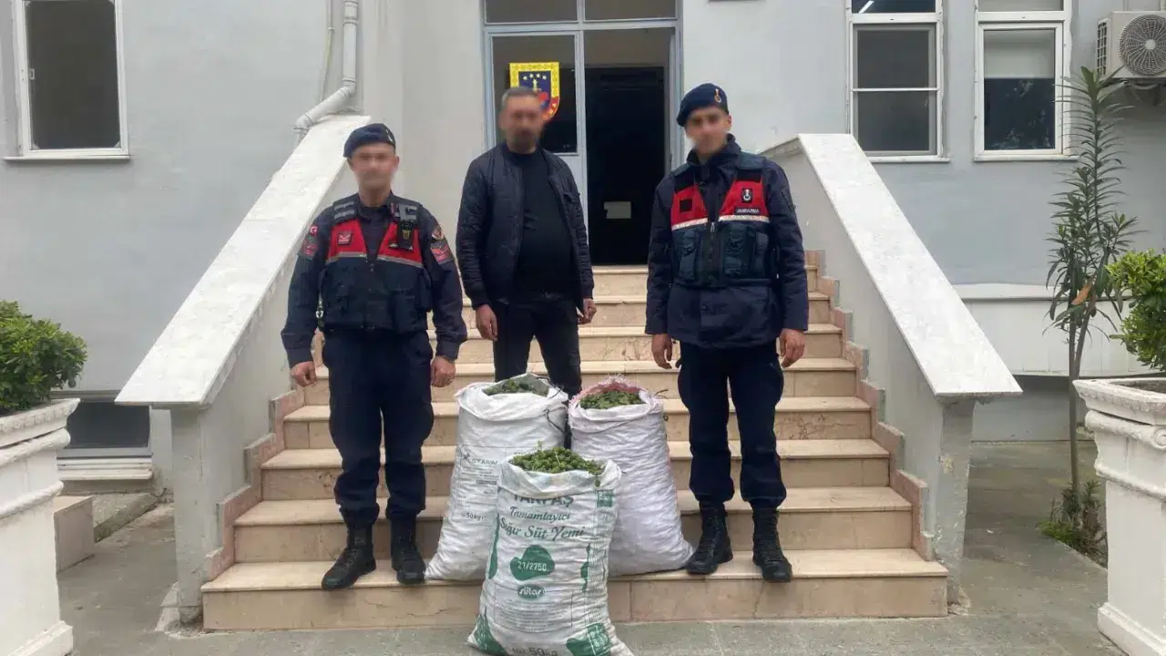 İncir bahçesinde suçüstü! Jandarma affetmedi, hırsız kıskıvrak yakalandı!