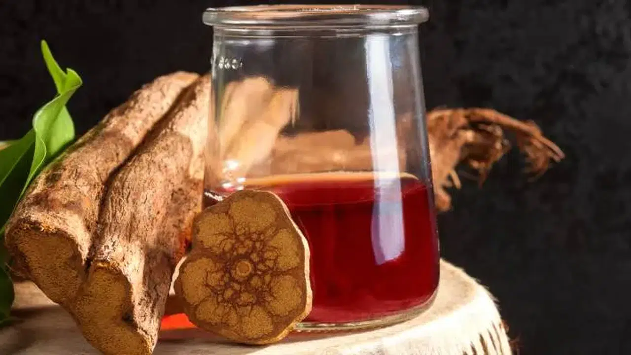 Ayahuasca çayı etkileri nedir, neden yasak, ne işe yarar, nerede yetişir?