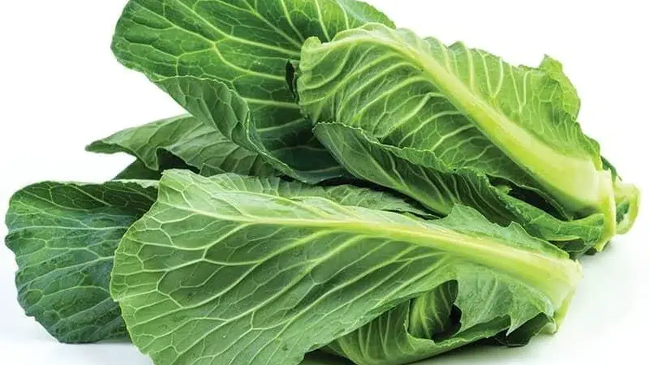 Cibes otu nedir, faydaları nelerdir, nasıl kullanılır, zayıflatır mı, nasıl pişirilir?