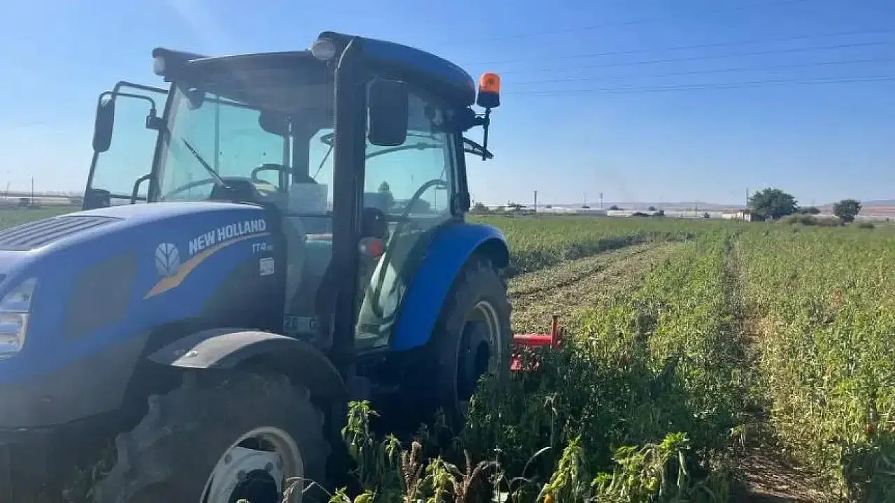 Parası olan buraya koşuyor! 2026 arsa fiyatlarında 'Anadolu' sürprizi: O il İstanbul'la yarışıyor