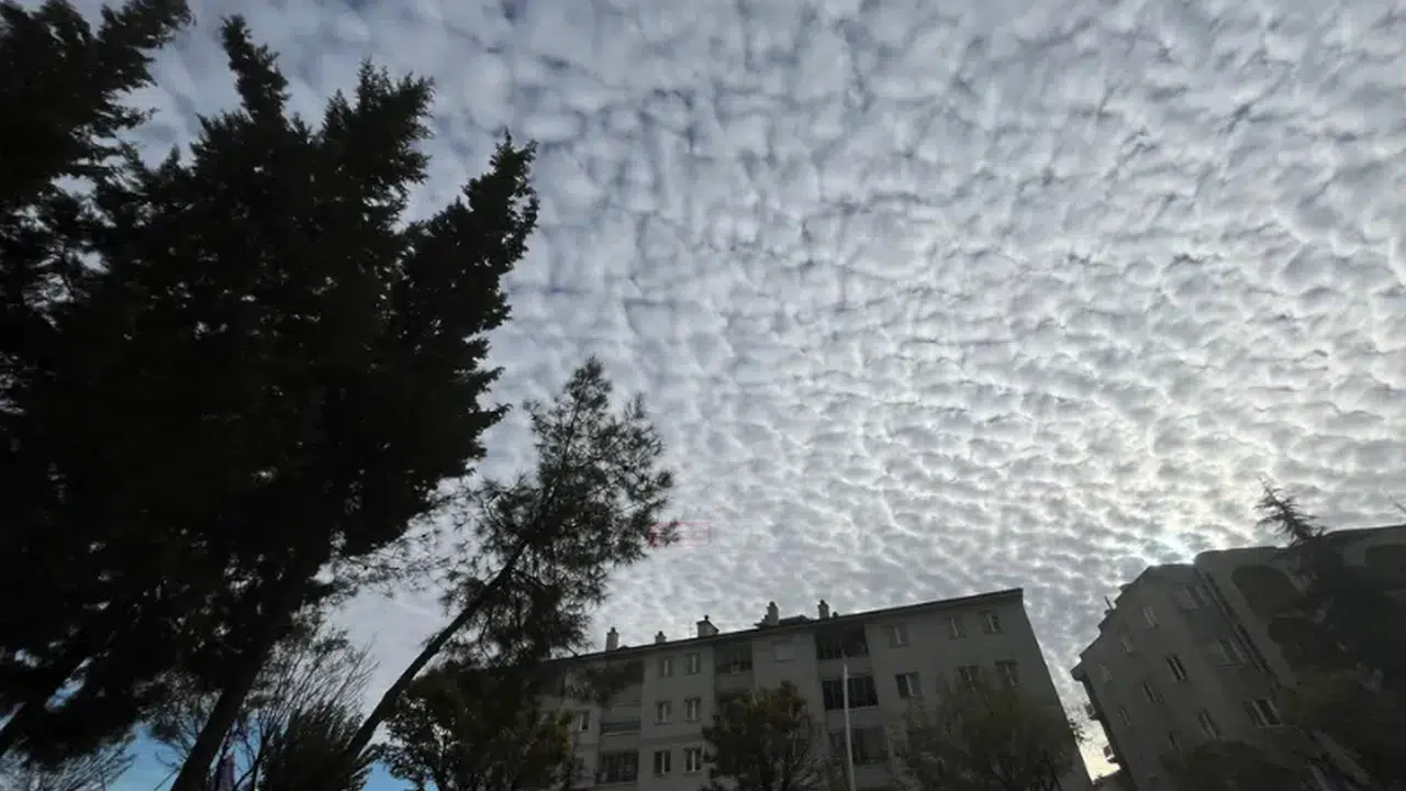 Uşak hava durumu! 11 Nisan 2026 Cumartesi sıcaklık kaç derece, bugün yağmur var mı?