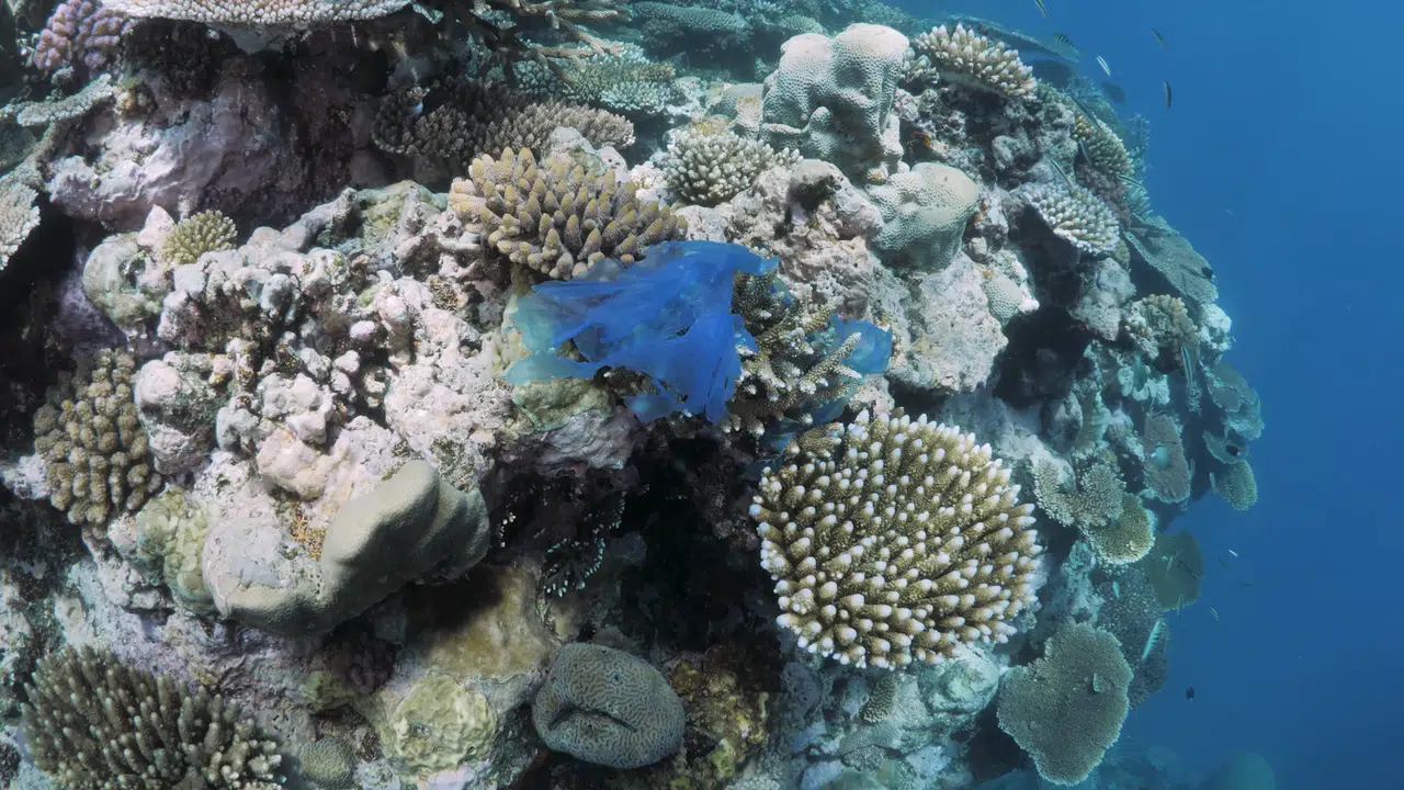 Marmara’nın altında 'organ nakli' gibi operasyon: Bakan Kurum o görüntüleri paylaştı!