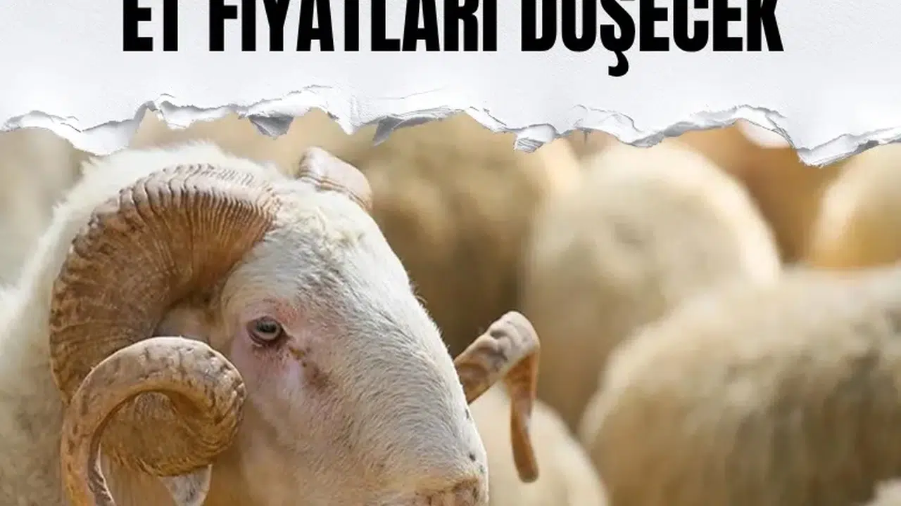 Tarım ve Orman Bakanlığı’ndan üreticilere küçükbaş destek programı