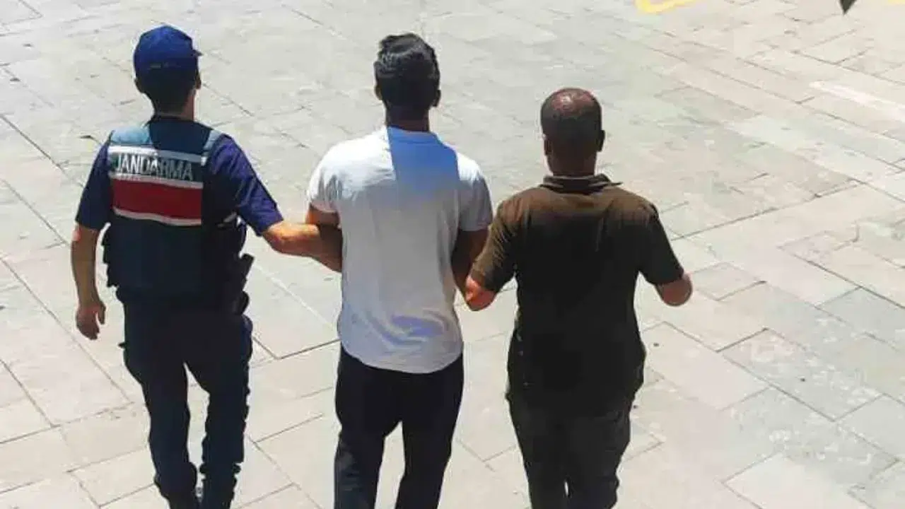 Bir anlık şaka ormanı kül etti, faturası rekor oldu: 43 milyonluk torpil!