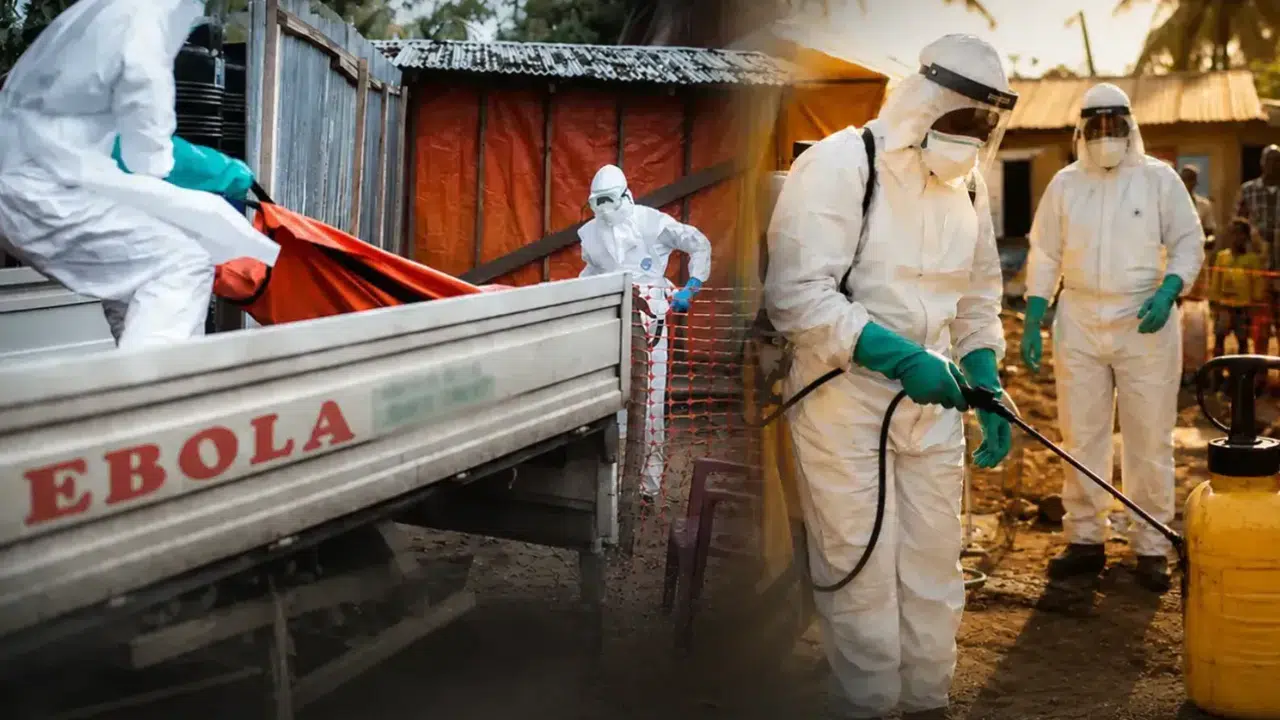 DSÖ düğmeye bastı: Ebola salgını için uluslararası acil durum ilanı!