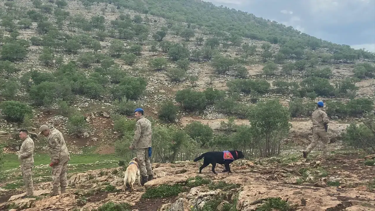 Gece boyunca dağ taş arandı! Melike bebek için mutlu son